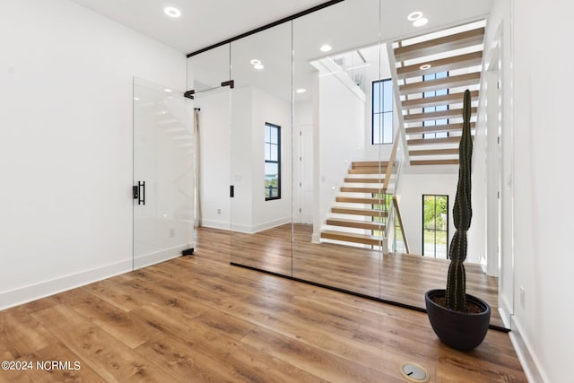 entryway with hardwood / wood-style flooring and a high ceiling