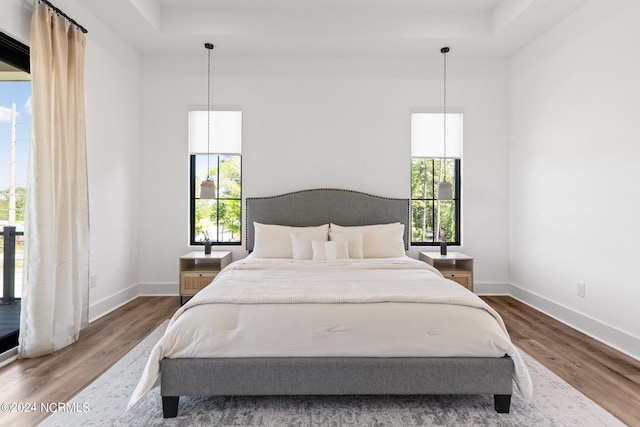 bedroom featuring a tray ceiling and hardwood / wood-style floors