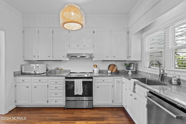 kitchen featuring white cabinetry, appliances with stainless steel finishes, sink, and range hood