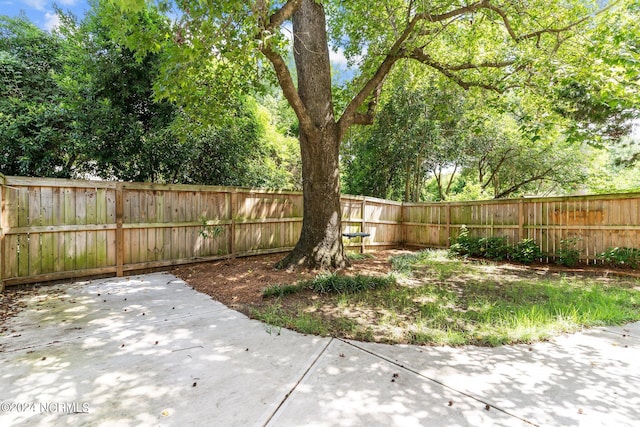 view of yard with a patio area