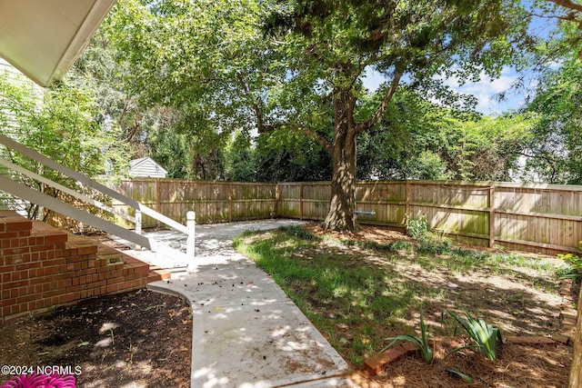 view of yard featuring a patio