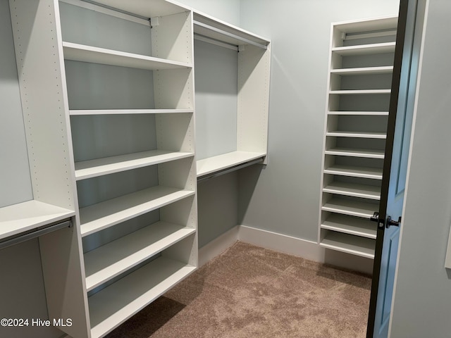 walk in closet with carpet floors