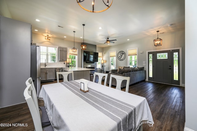 dining room with ceiling fan with notable chandelier, a wealth of natural light, and dark hardwood / wood-style floors