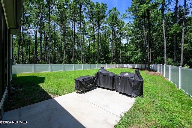 view of yard featuring a patio