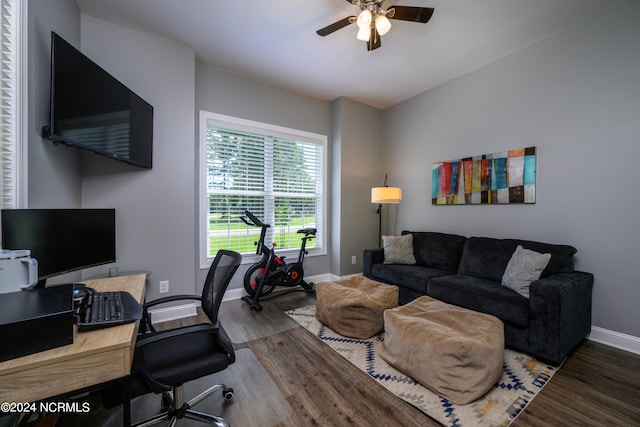 office space with ceiling fan and dark hardwood / wood-style flooring