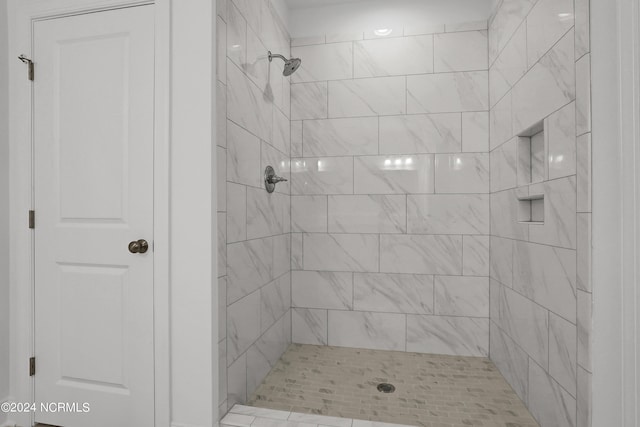 65 Tilloo Cut Way, Hampstead, NC 28443 - bathroom featuring a tile shower