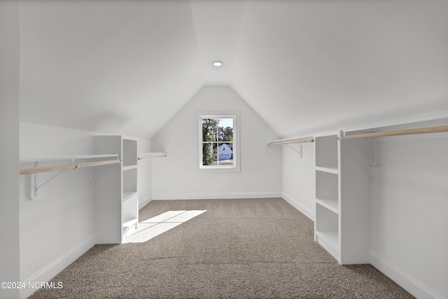 65 Tilloo Cut Way, Hampstead, NC 28443 - walk in closet with carpet floors and vaulted ceiling