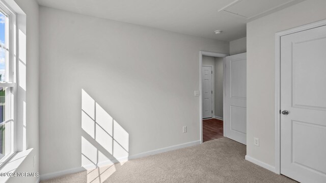 carpeted empty room featuring a wealth of natural light