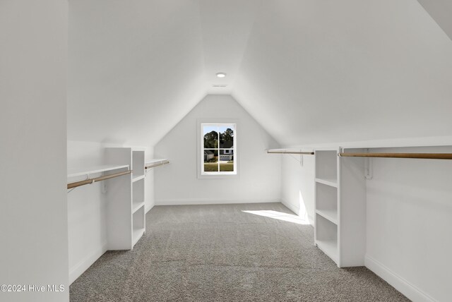 133 Tilloo Cut Way, Hampstead, NC 28443 - spacious closet featuring carpet flooring and vaulted ceiling