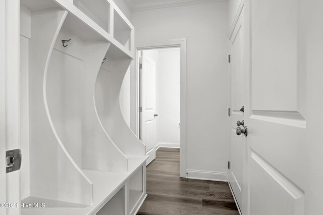 133 Tilloo Cut Way, Hampstead, NC 28443 - mudroom with dark wood-type flooring, baseboards, and crown molding