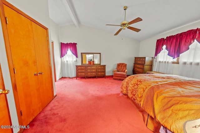 carpeted bedroom featuring lofted ceiling with beams and a ceiling fan