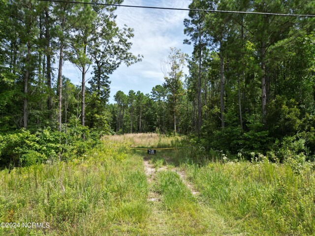 529 Holly Ridge Rd, Holly Ridge NC, 28445 land for sale