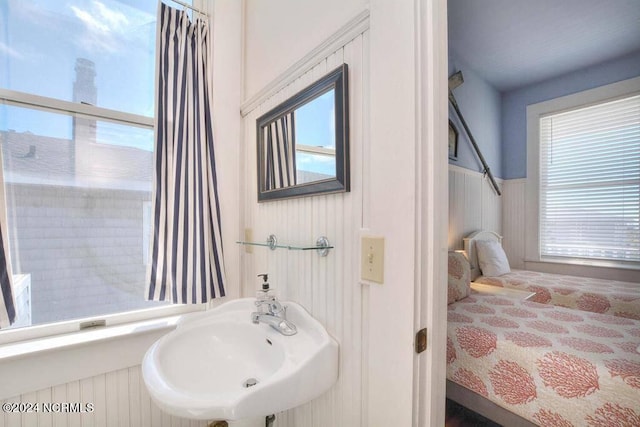 bathroom featuring sink and a wealth of natural light