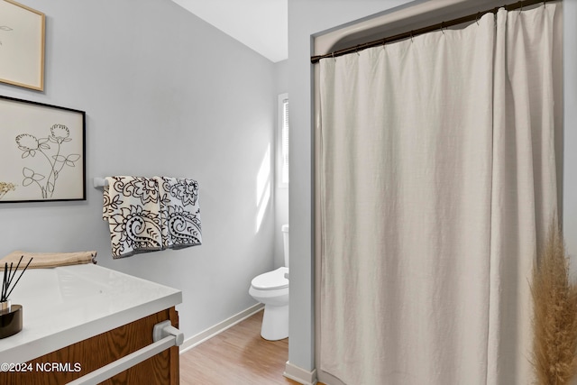 bathroom featuring vanity, toilet, and hardwood / wood-style flooring