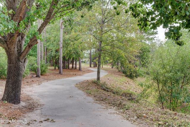 view of road