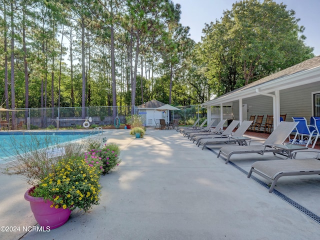 view of swimming pool featuring a patio and a shed