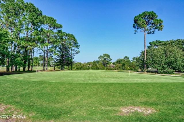 view of community featuring a lawn