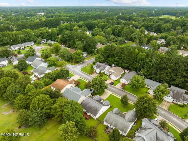 bird's eye view