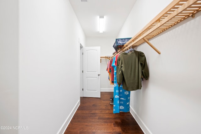 walk in closet with dark wood-type flooring