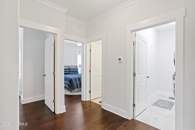 hallway featuring dark wood-type flooring and ornamental molding