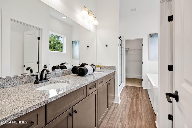 bathroom with vanity, a shower with door, and wood-type flooring