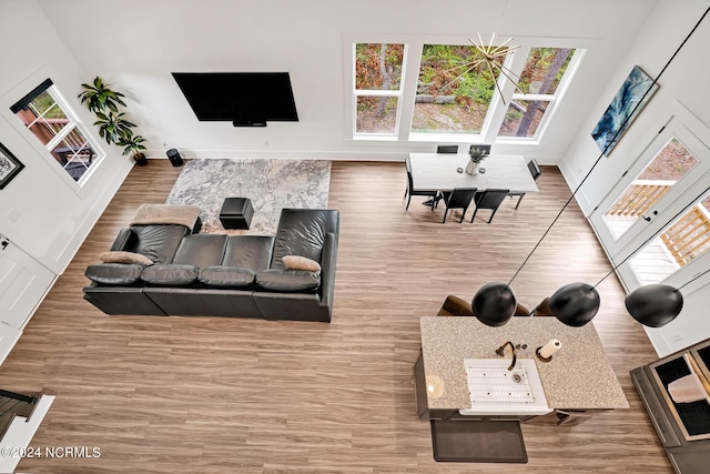 living room with hardwood / wood-style flooring and a healthy amount of sunlight