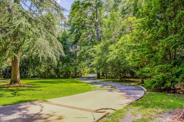 view of community with a lawn