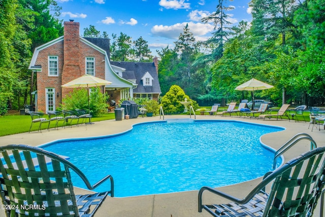 view of swimming pool with a patio