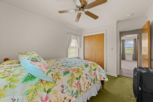 carpeted bedroom featuring ornamental molding, ceiling fan, and a closet