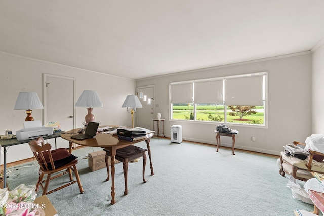 interior space with crown molding and light carpet