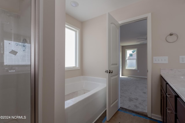 bathroom featuring vanity and a bath