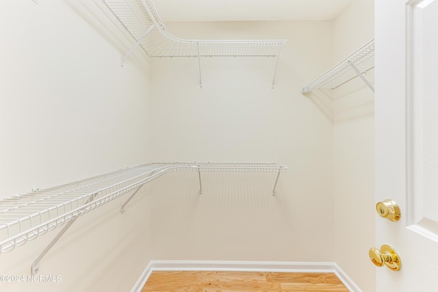 walk in closet with hardwood / wood-style flooring