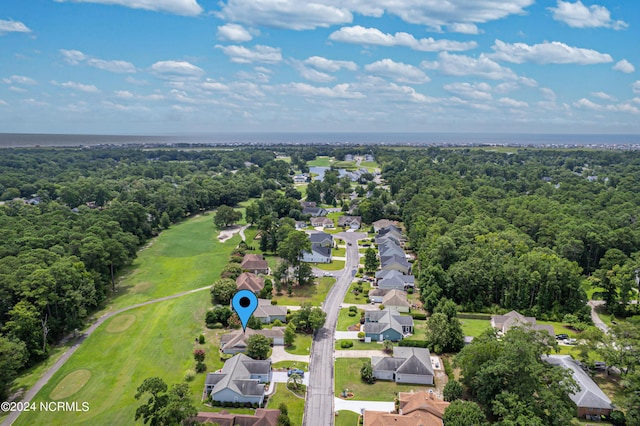 bird's eye view