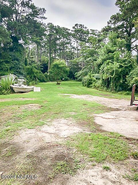 165 Polly Hill Rd, Marshallberg, NC 28553 - view of yard
