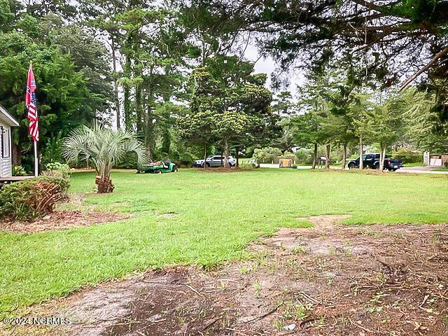 165 Polly Hill Rd, Marshallberg, NC 28553 - view of green lawn featuring view of wooded area