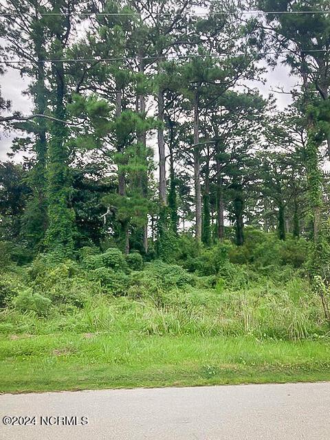 165 Polly Hill Rd, Marshallberg, NC 28553 - view of undeveloped land