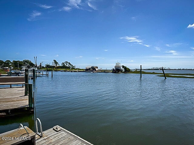 dock area with a water view