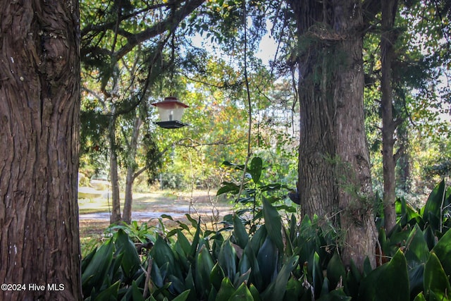 165 Polly Hill Rd, Marshallberg, NC 28553 - view of community