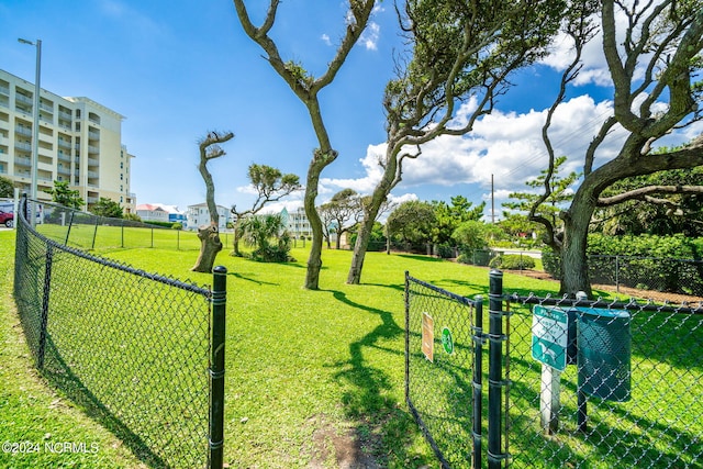 view of community featuring a yard