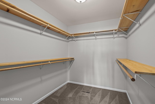 spacious closet featuring carpet floors