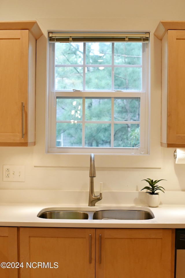 room details with light brown cabinetry, sink, and stainless steel dishwasher