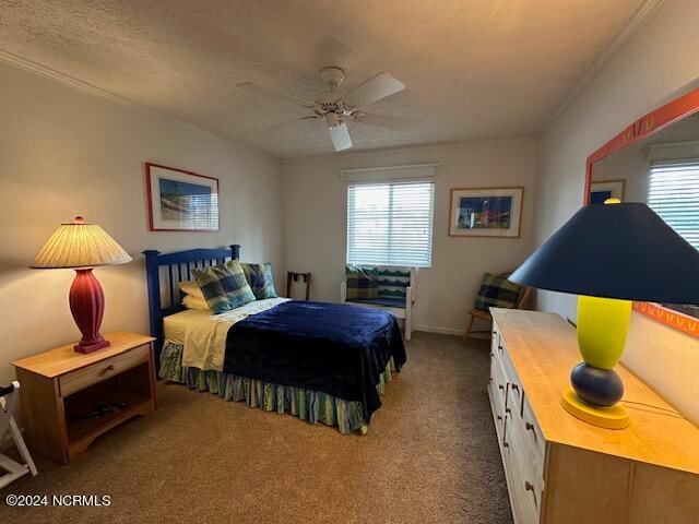 bedroom featuring ceiling fan, carpet, multiple windows, and a textured ceiling