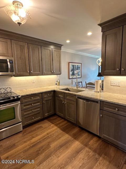 kitchen featuring sink, crown molding, dark wood-type flooring, and stainless steel appliances