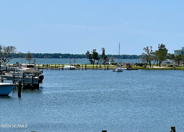 water view with a dock