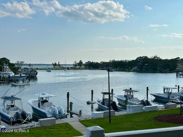 dock area with a water view