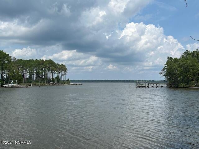 view of water feature with a boat dock