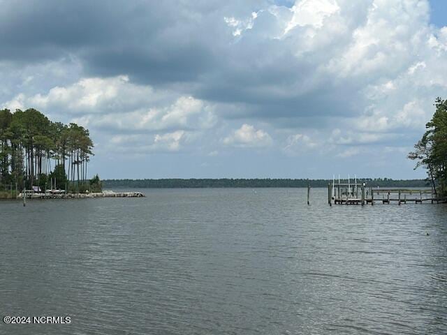 water view with a dock