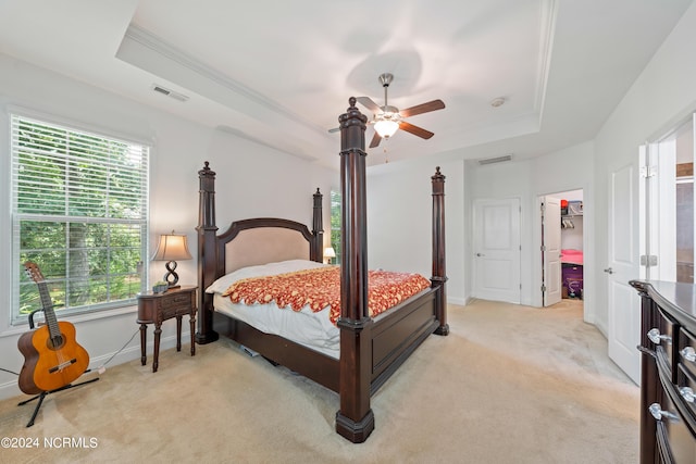 carpeted bedroom featuring a walk in closet, ornamental molding, a raised ceiling, and ceiling fan