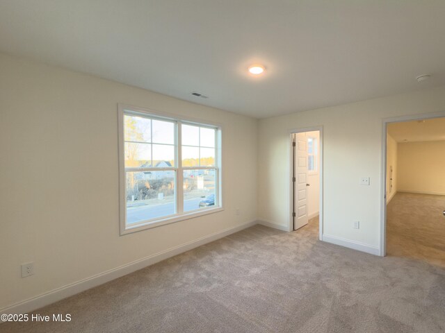 walk in closet with carpet flooring