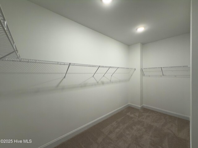 walk in closet with carpet flooring